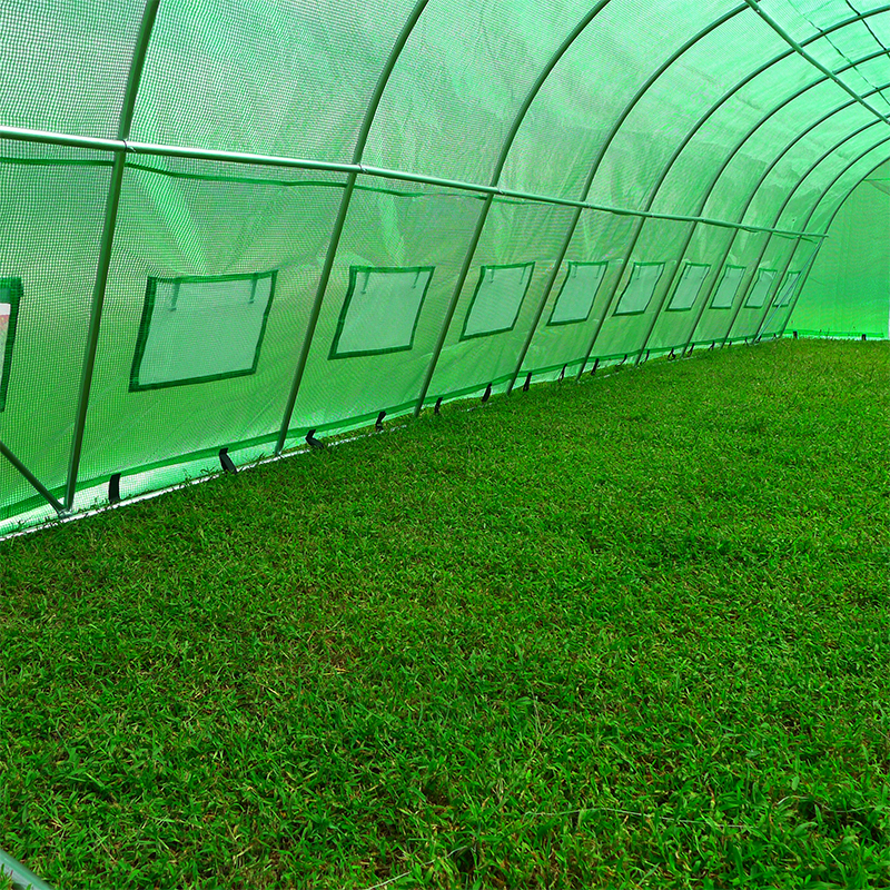 grandes serres résistantes de polytunnel de 4x10x2.3m