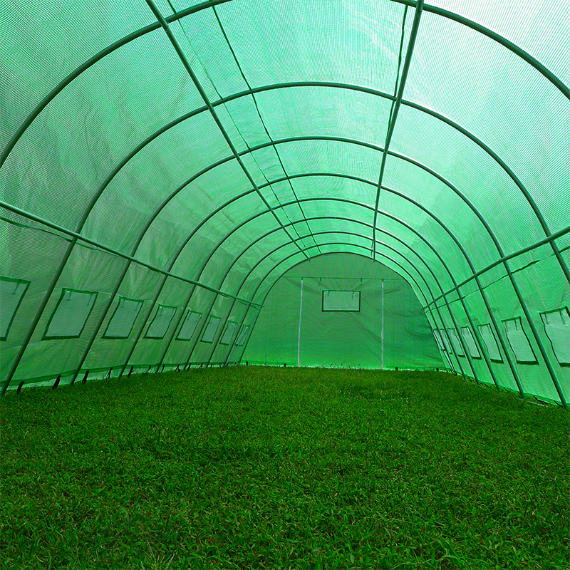 grandes serres résistantes de polytunnel de 4x10x2.3m