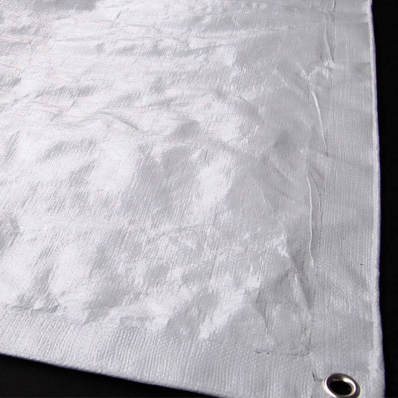 Bâches en plastique flexibles renforcées 4x5m pour abri temporaire