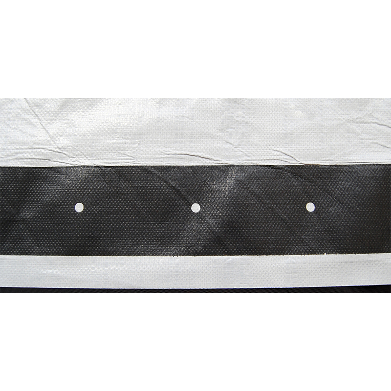 Bâche de secours en plastique 4x6m